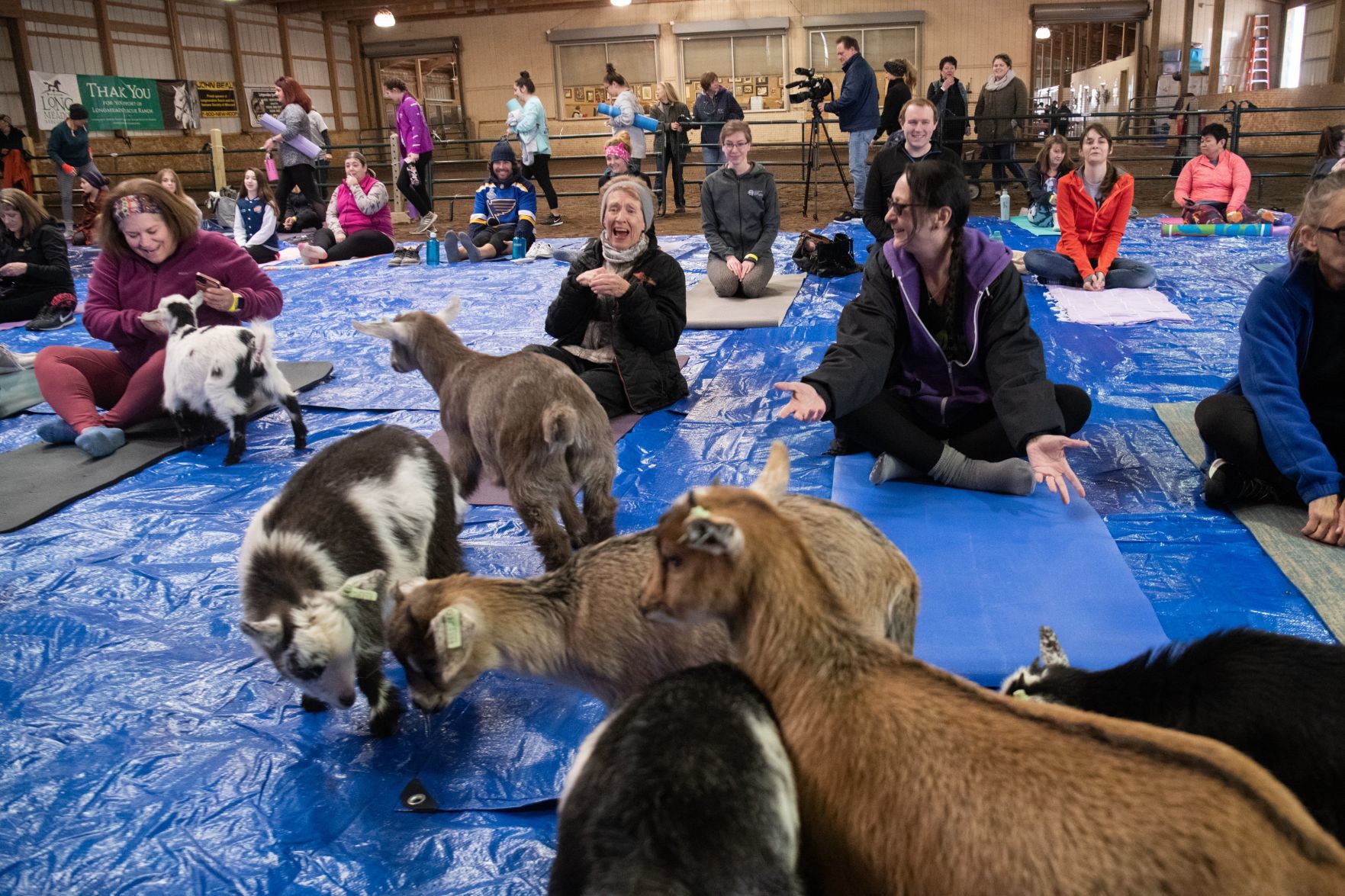 Baby goat yoga at Longmeadow Rescue Ranch